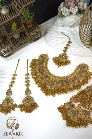 Indian Zarcoon Bridal Set